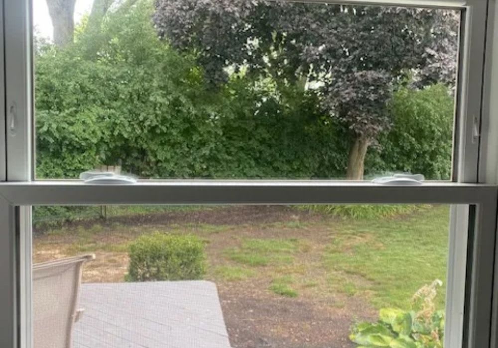 A view through a window showing a backyard with green grass, a patio chair, bushes, and trees in the background.