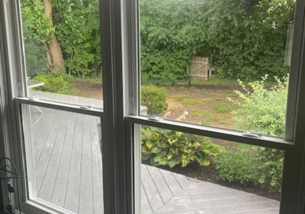 View through a window showing a gray wooden deck, green bushes, trees, and a wooden gate in a backyard.