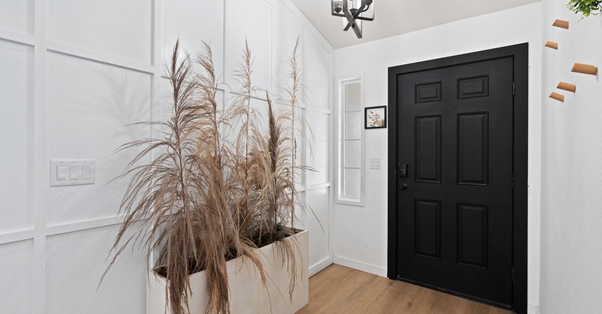 Stylish entrance with minimalist decor and modern design featuring a black door.