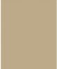 White Color