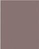 Cocoa Color