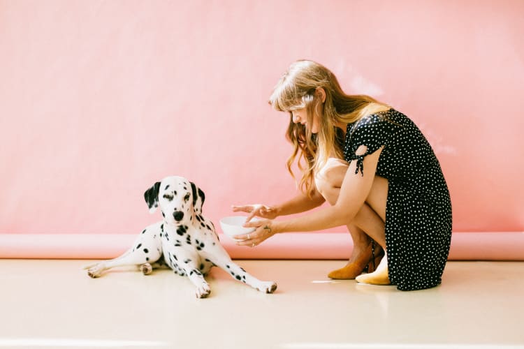 Son Estomac Gargouille Direction Cuisine Ou Veterinaire Chien Calme