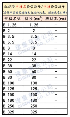 B 38 | 紅銅管中接式套管端子/中接套管端子-圖片-1