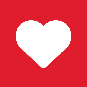 Donation icon