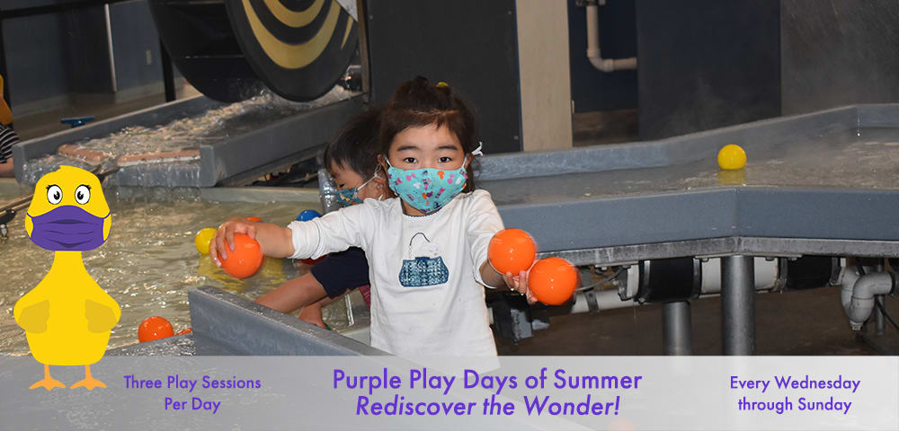 Discovery Duck Welcomes You Back Inside