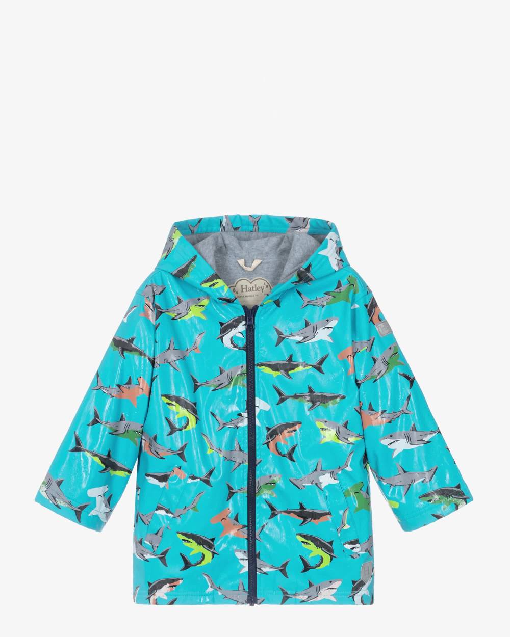 Hatley-Boys Aqua Blue Raincoat with Grey Shark Print | Childrensalon
