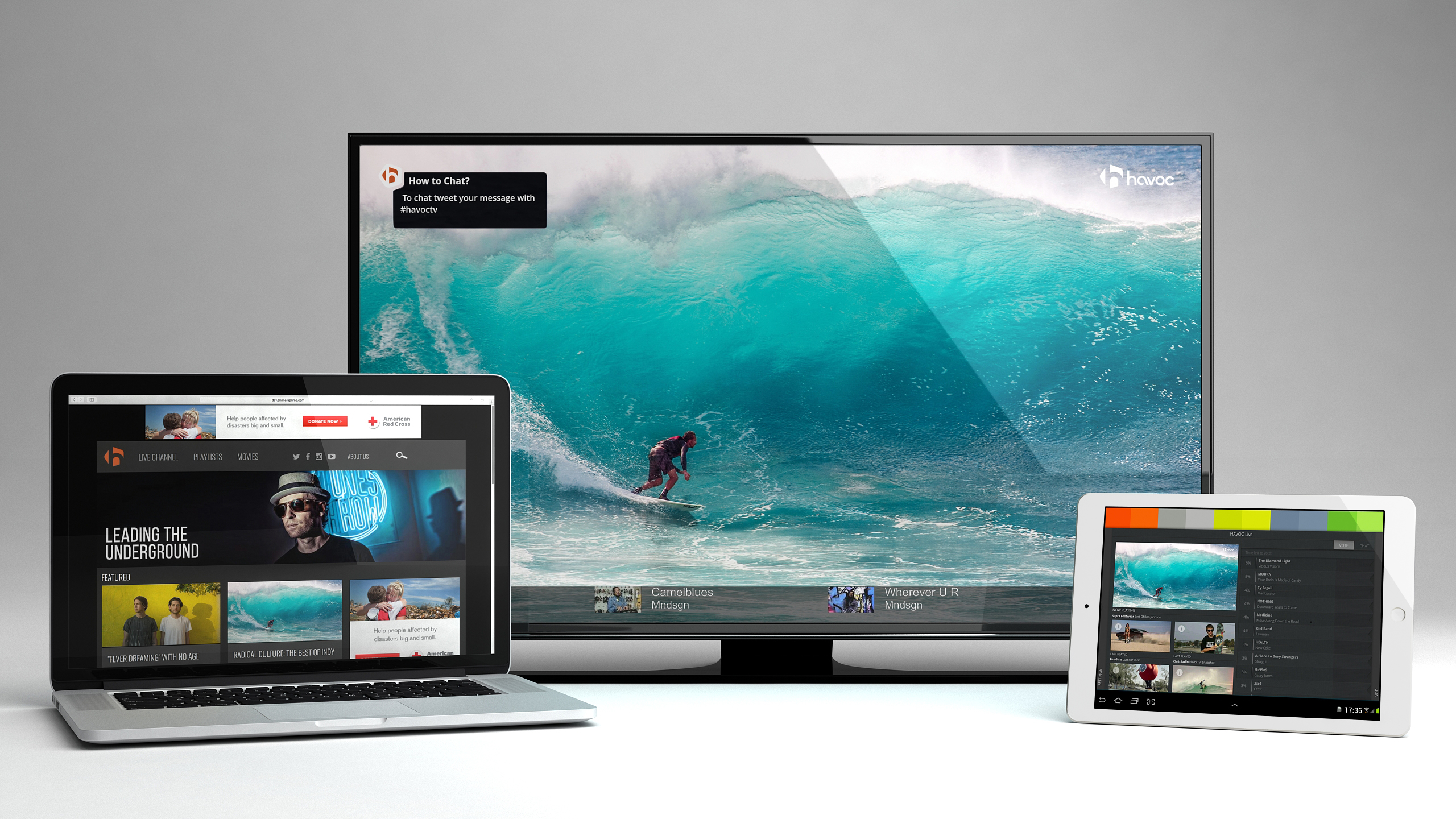 Havoc Interactive TV Player