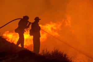 Zwei Feuerwehrmänner bekämpfen das Buschfeuer mit Wasser