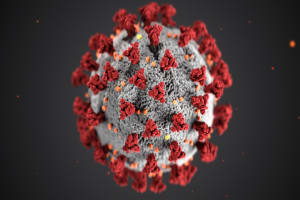 Das Corona-Virus verbreitet sich weiter und weiter
