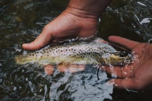 Ein Fischer hält einen Fisch in der Hand