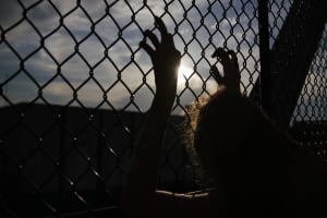 Eine Person steht hinter einem Gitter und sehnt sich nach Freiheit.