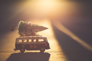 Auto transportiert einen gefällten Baum