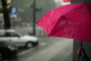 Unter dem Regenschirm