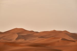 Wüste der Sahara