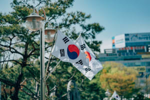 Koreanische Flagge