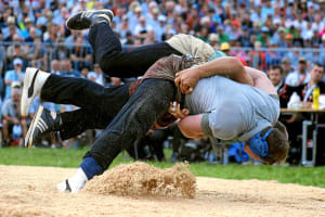 Schwingen