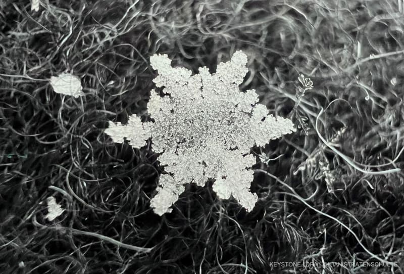 Eine Schneeflocke liegt auf einer grauen Wolljacke (Makroaufnahme).