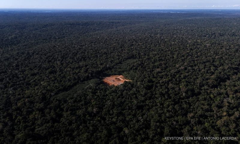 erialansicht zeigt ein abgeholztes Gebiet mit einer rot gestrichenen Metallkonstruktion, die zur Aufrechterhaltung des Drucks und zur Kontrolle des Gasflusses im Amazonas-Regenwald, Brasilien, 14. Juni 2024 (Ausgabe vom 19. Juni 2024).