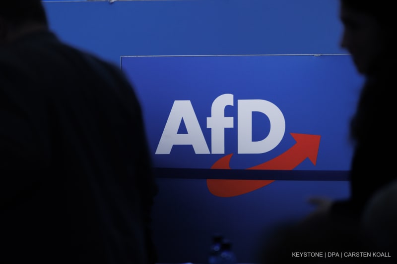 Sachsen-Anhalt, Magdeburg: Parteilogo der AfD.