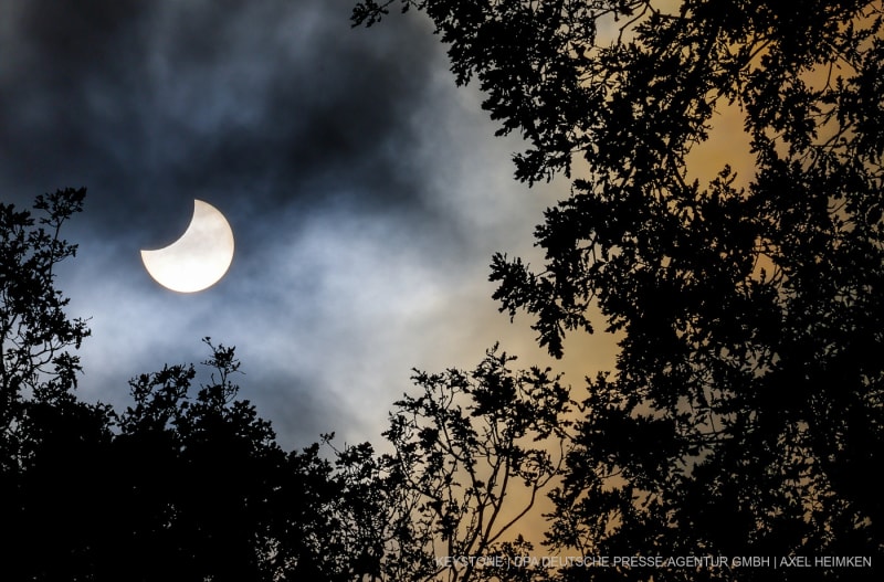 Der Mond schiebt sich bei einer partiellen Sonnenfinsternis über dem Hamburger Stadtpark vor die Sonne.
