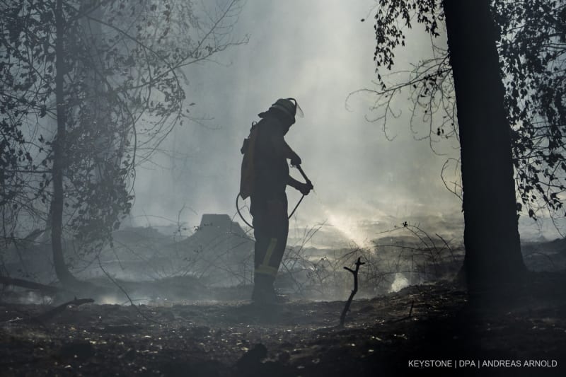 Ein Feuerwehrmann ist mit Löscharbeiten in einem Waldstück beschäftigt.