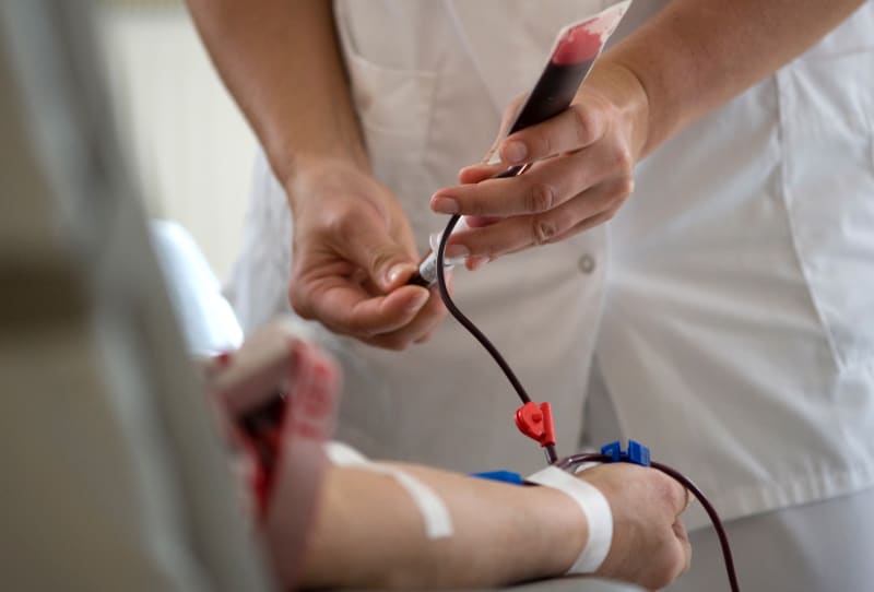 Eine Frau spendet in Potsdam im Institut fuer Transfusionsmedizin auf einer Liege Blut (Foto vom 07.04.11).