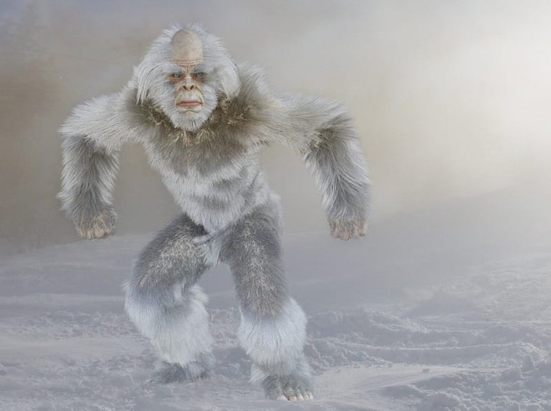 Yeti Der Schneemensch aus dem Himalaya Chinderzytig