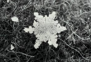 Eine Schneeflocke liegt auf einer grauen Wolljacke (Makroaufnahme).