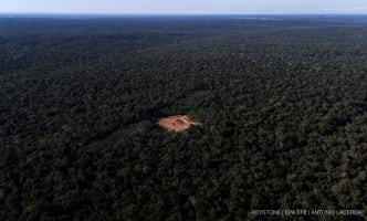 erialansicht zeigt ein abgeholztes Gebiet mit einer rot gestrichenen Metallkonstruktion, die zur Aufrechterhaltung des Drucks und zur Kontrolle des Gasflusses im Amazonas-Regenwald, Brasilien, 14. Juni 2024 (Ausgabe vom 19. Juni 2024).