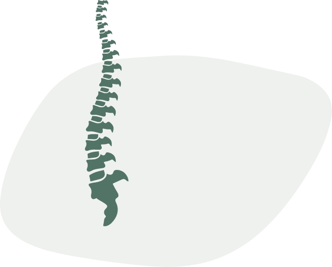 Artistic spine