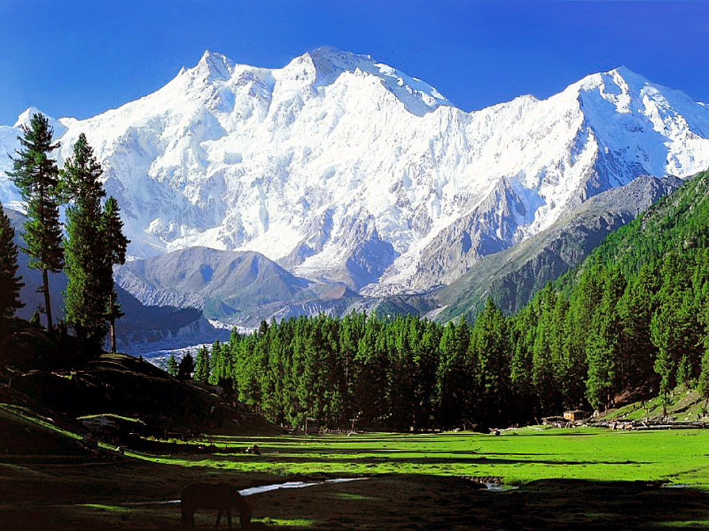 Summit-Rakaposhi-With-Chkar-Tour-Guide