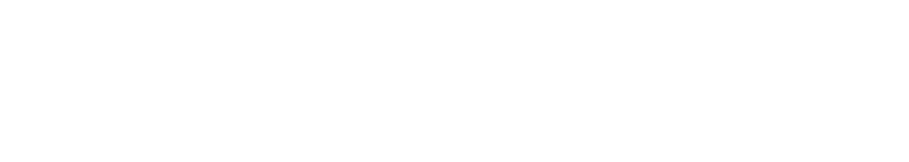 BVD Logo mit Text weiß
