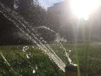 Beregnungsanlage Nahaufnahme Garten