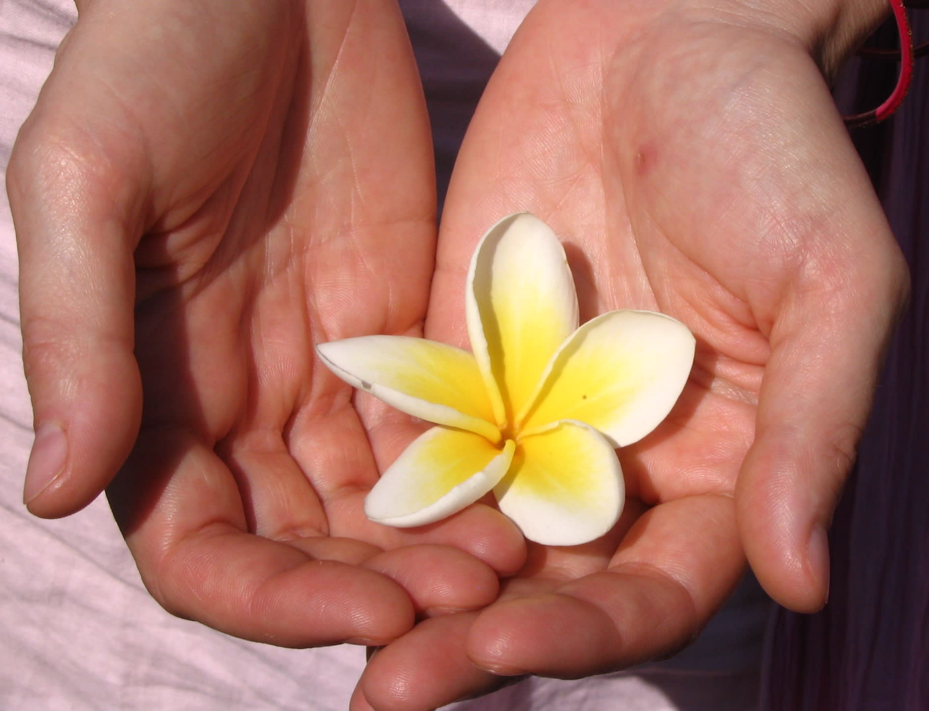 Craniosacral-Ausbildung und Fortbildungskurse Veröffentlichungen Hände