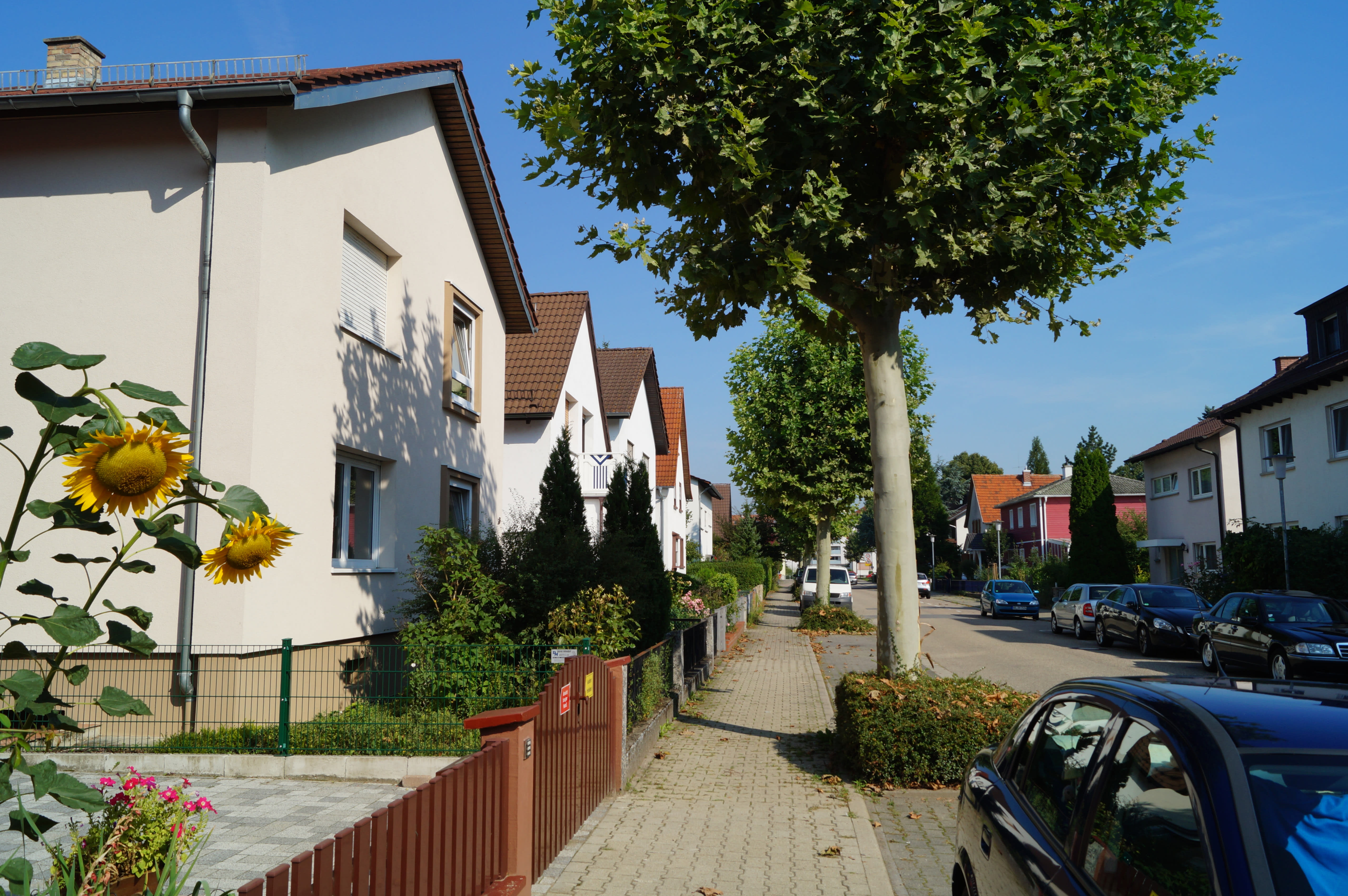 Immobilienmakler Oftersheim Immobilienbewertung Vom Profi