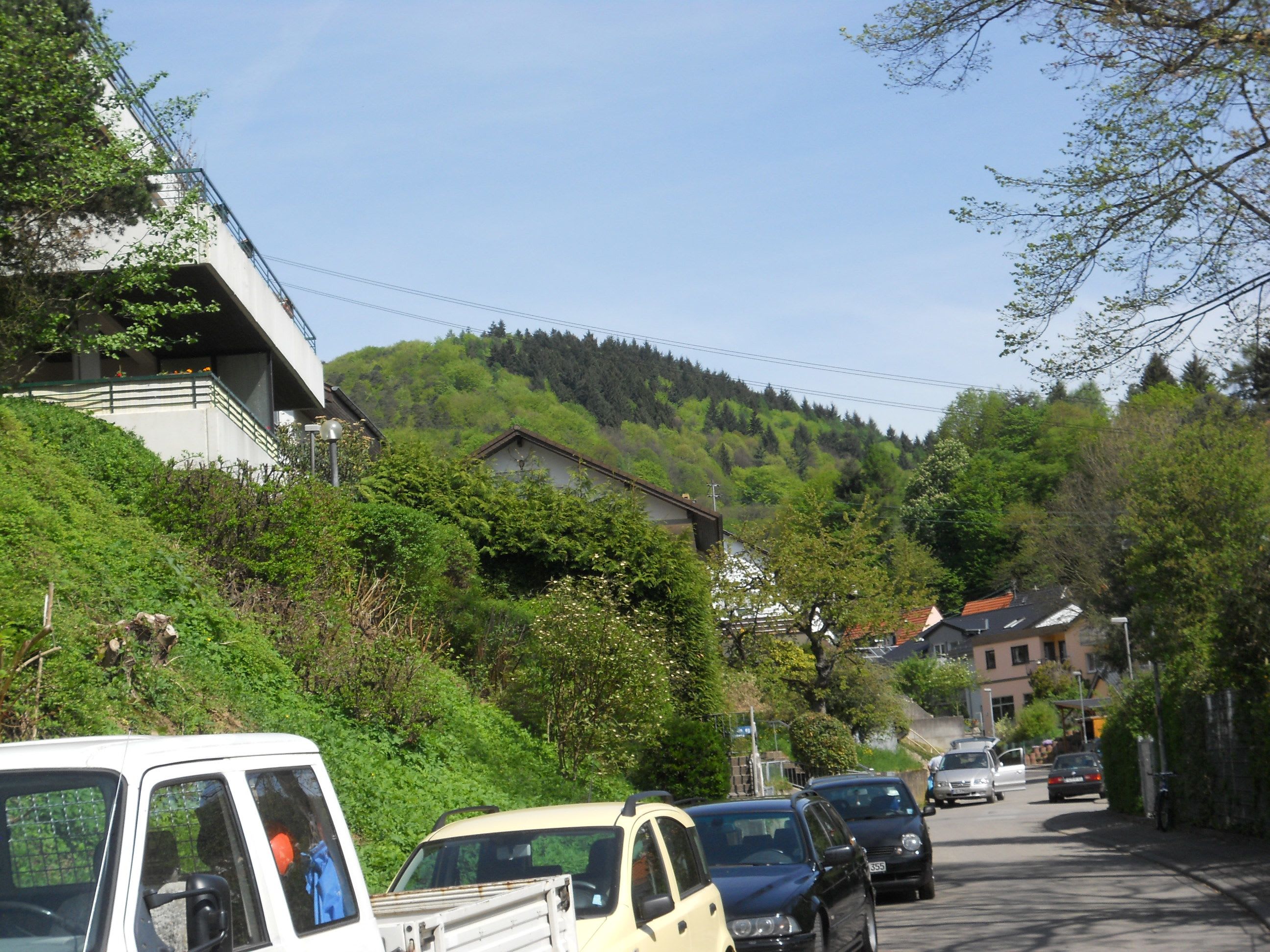 immobilienmakler heidelberg ziegelhausen immobilienbewertung vom profi