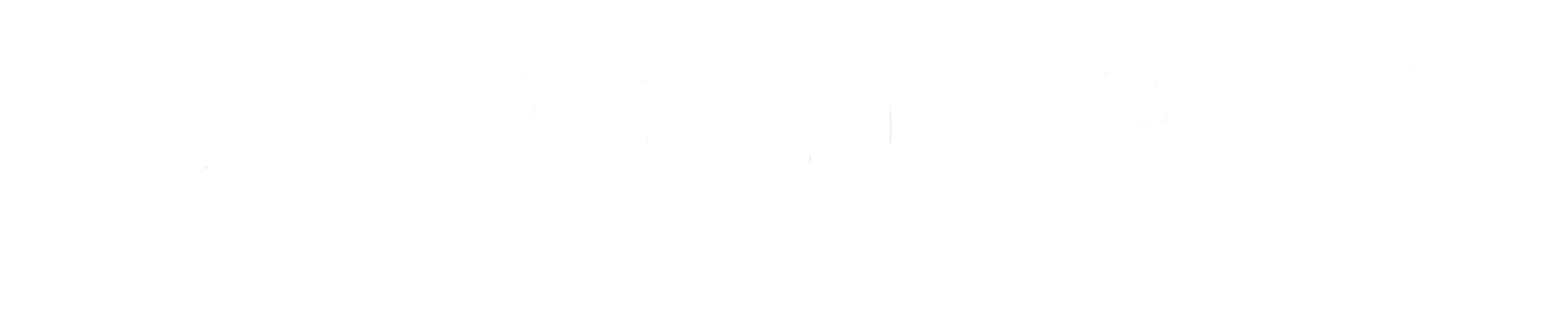 Bergen Group Logo transparent weiß