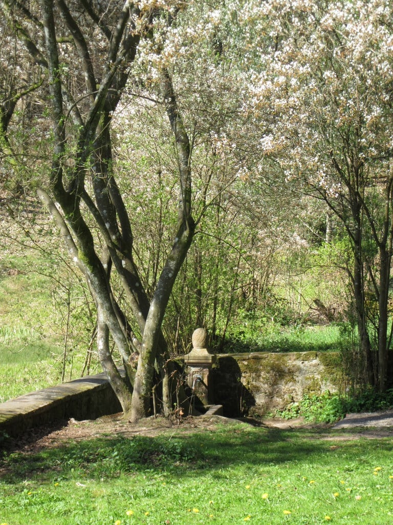 Frühling am Lichtenklinger Hof