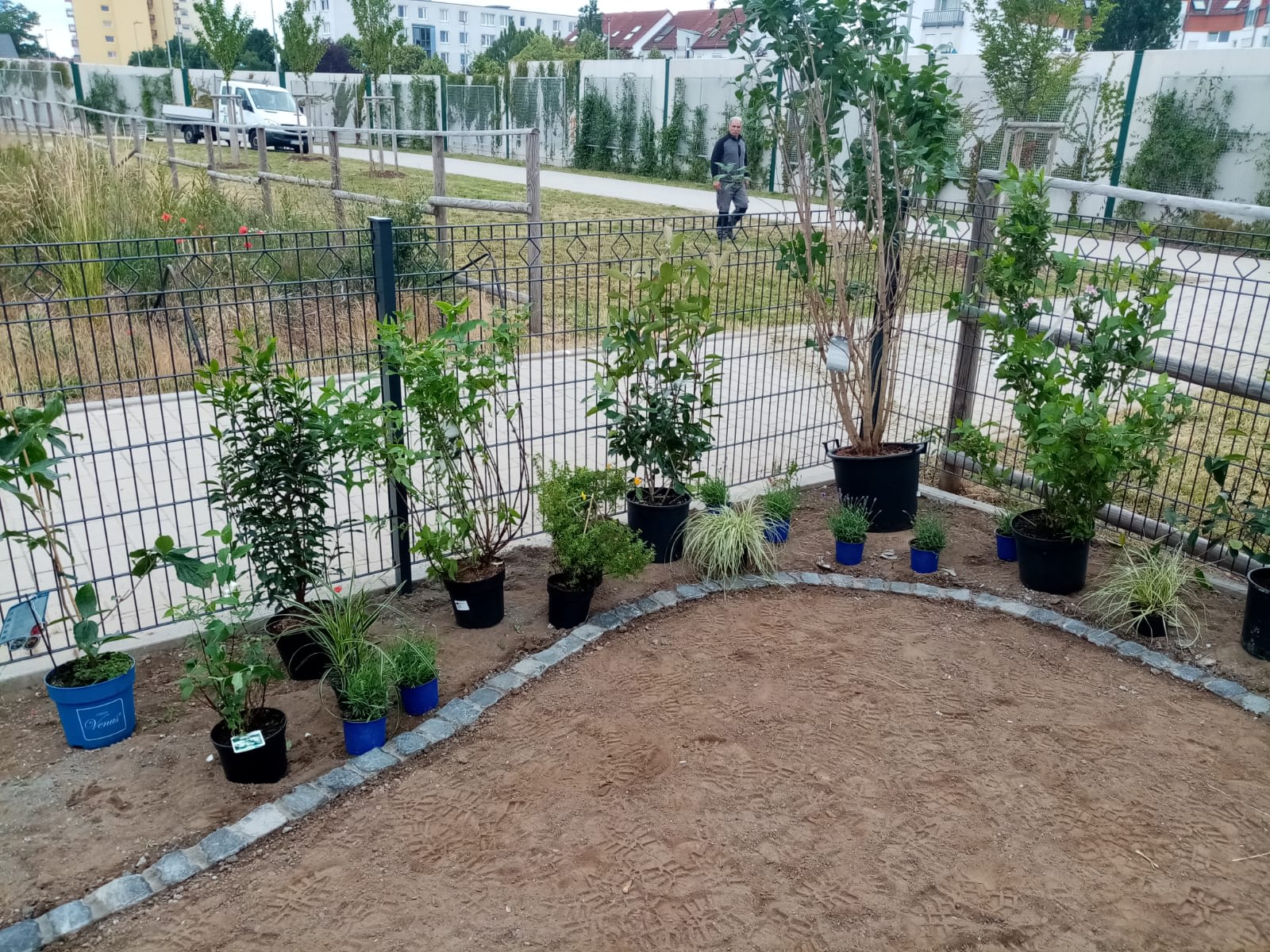 Gartencenter Florian Feth Nauheim für GALA-Bauer