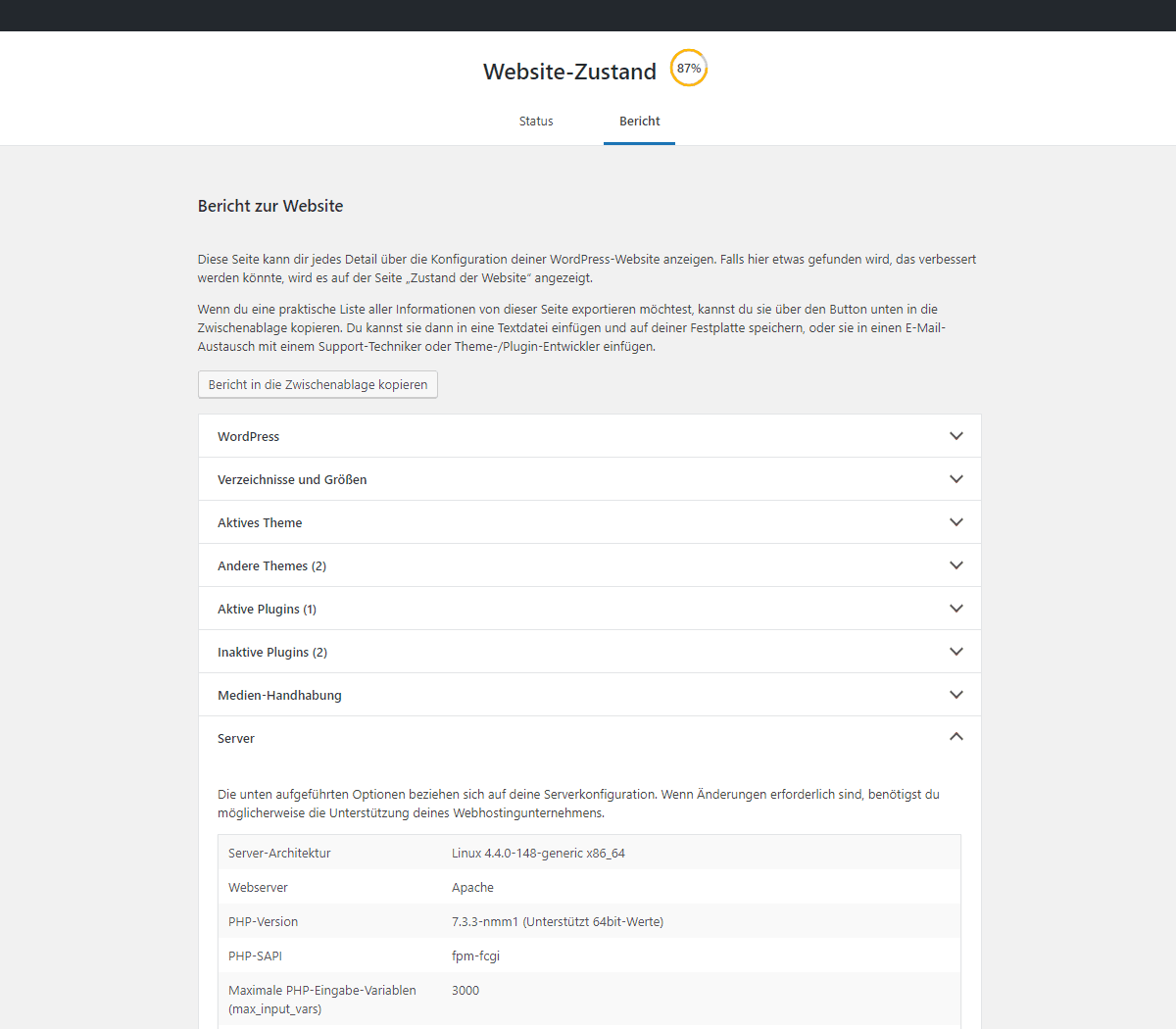Wordpress Website Zustand Bericht
