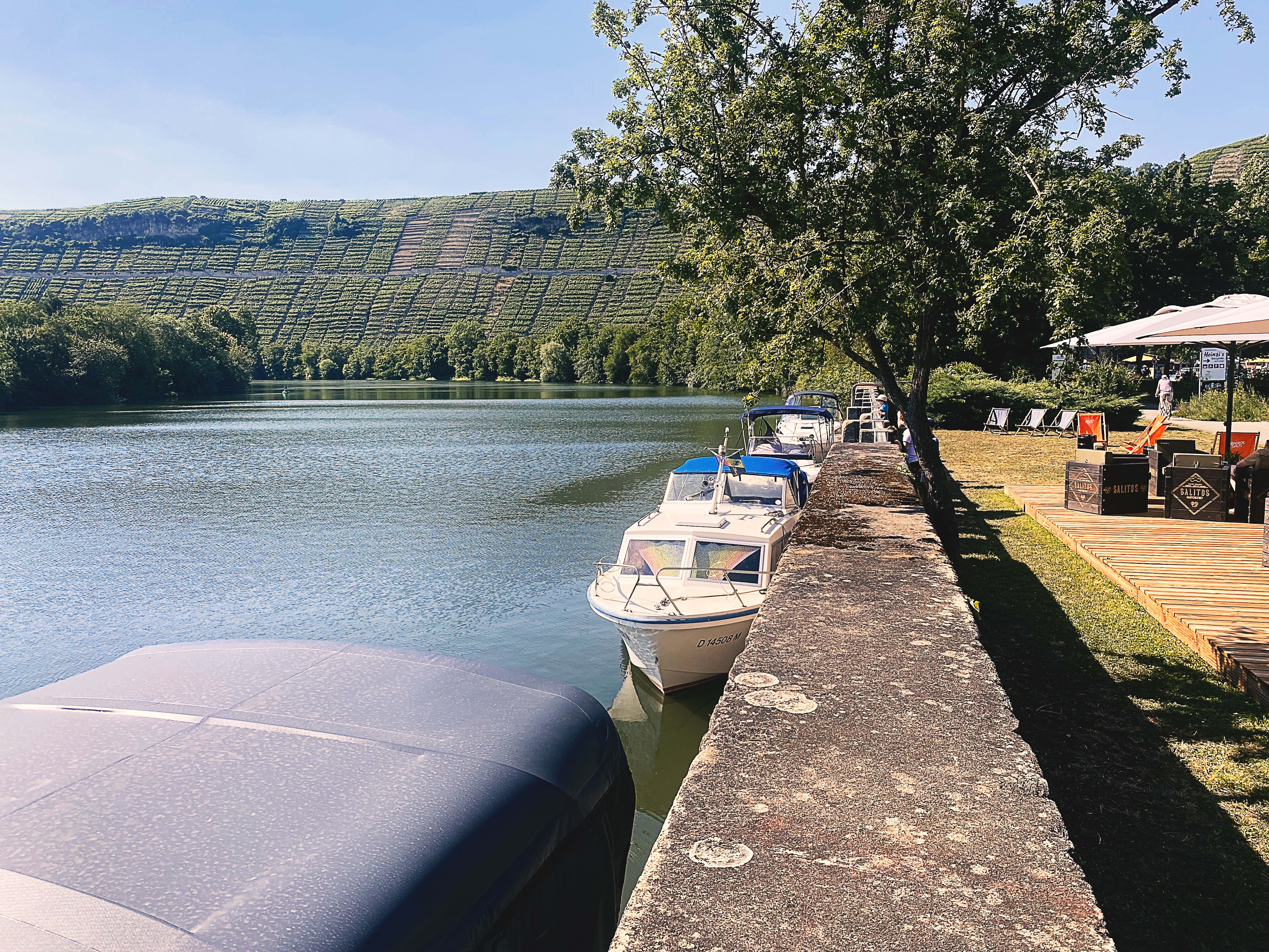LOOP-am-Neckar-Mundelsheim-Boote