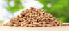 FJA_2020_Header