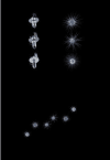 Crystal Star Deluxe Grace 6