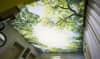 Lichtdecke mit Waldbild