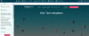 Website CMS Screenshot 3