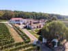 Mayer-Erligheim-Locations-Weingut-Kurz-Wagner-Ansicht-von-oben