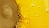 Oil filling in a worm gear