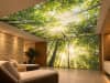 Waldlicht im modernen Spa Loungebereich