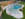 Pool4