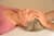 Craniosacral Healing Ausbildung Seminar live - Cranio Sacral Therapie